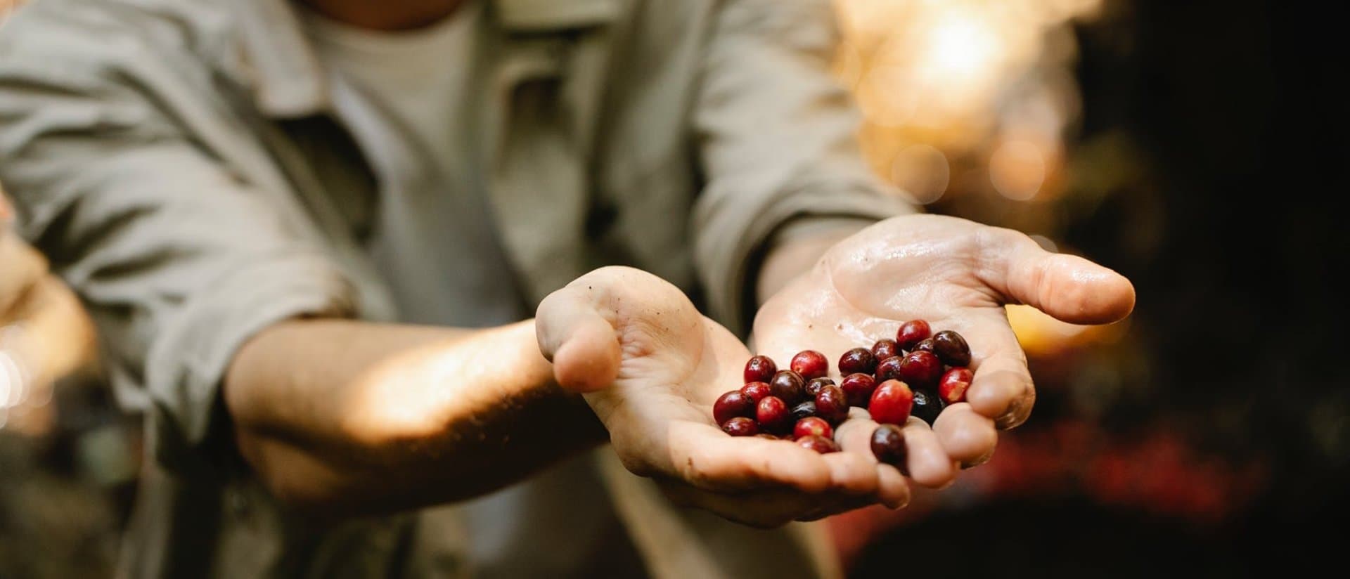 EventOOH do AgronegóciOOH - a relação entre o agro e a mídia