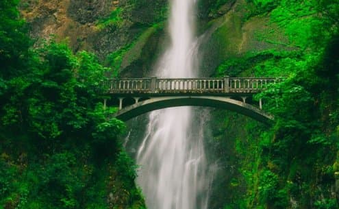 Imagem de Tenha prazer e se sinta realizado em ser ponte para o bem