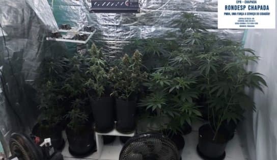 Imagem de PM corta o barato de traficantes na chapada, e desmancha laboratório de maconha em apartamento alugado 