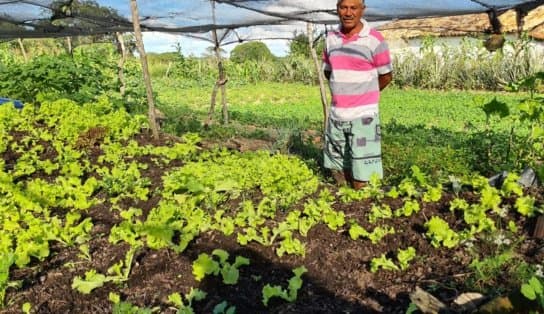 Imagem de Para financiar projeto de desenvolvimento rural, Rui pede a AL-BA autorização para contrair empréstimo de R$ 500 milhões