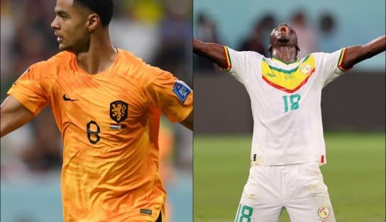 Imagem de Definidos classificados do Grupo A: Holanda e Senegal vencem e carimbam passaporte para mata-mata