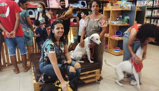 Imagem de Shopping de Camaçari promove feira de adoção de animais neste fim de semana; saiba como adotar