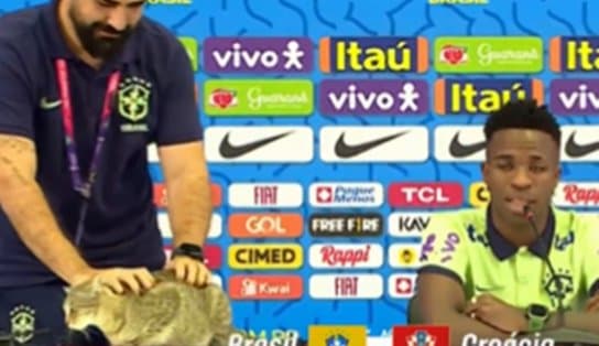 Imagem de Gato invade coletiva com Vini Jr. e forma que assessor o retira da mesa divide opiniões; vídeo