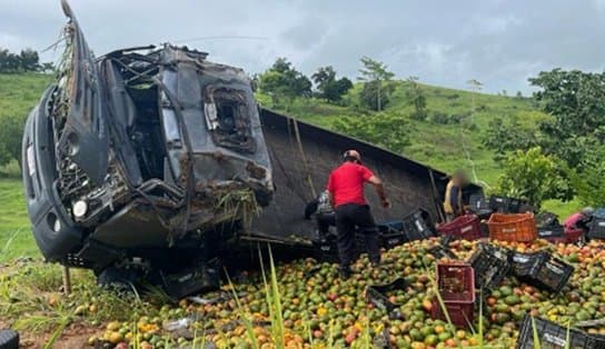 Imagem de Caminhão que transportava mangas tomba na BR-330 e populares pegam frutas