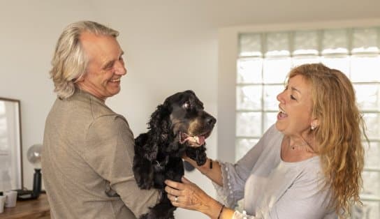 Imagem de  Estudo aponta que terapia com cães ajuda pacientes idosos; veterinária explica