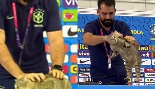 Imagem de Conselho de veterinária diz que forma de segurar gato em coletiva da CBF é "comum"