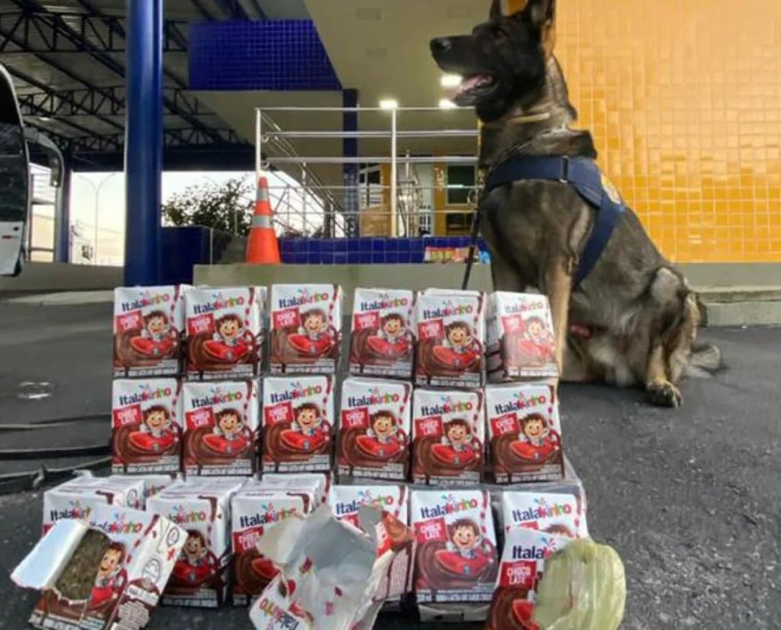 Drogas são encontradas em caixas de achocolatado em Vitória da Conquista; veja vídeo