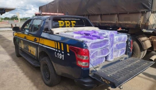 Imagem de PRF apreende 680 kg de maconha sendo transportada em caminhão, em Feira de Santana