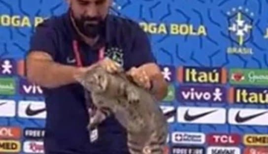 Imagem de ONGs pedem multa de R$ 1 milhão à CBF por episódio com gato na Copa do Catar