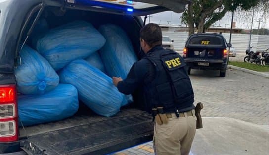 Imagem de PRF apreende 167 kg de maconha em uma picape na cidade de Feira de Santana