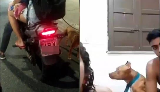 Imagem de Donos de cachorro supostamente arrastado se justificam sobre caso; “não aconteceu”