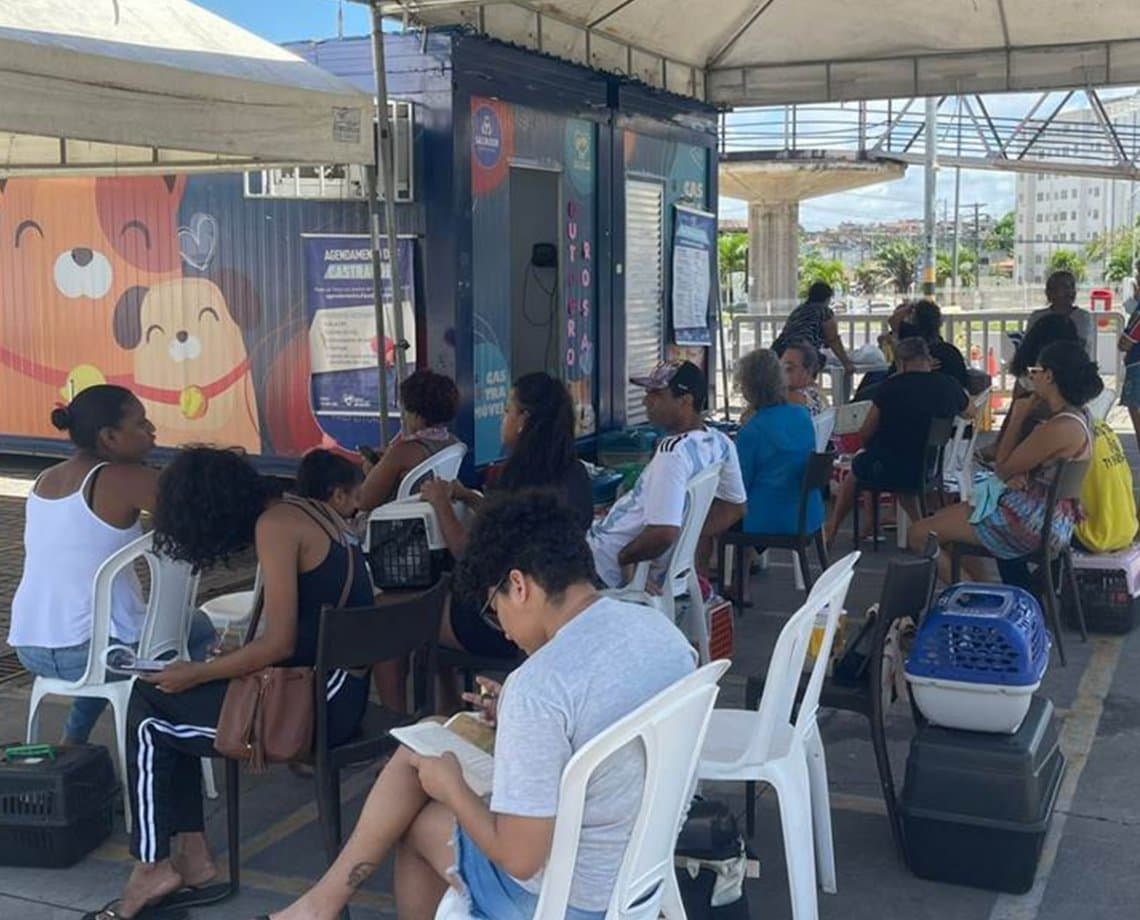 Prazo estendido: castramóvel prorroga atendimentos no Salvador Norte Shopping 