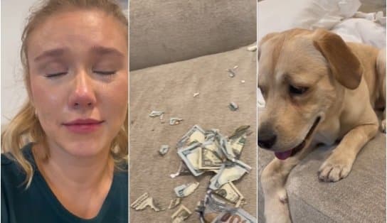 Imagem de Viral: Mulher tem dinheiro comido por cachorro e registra momento de desespero; veja