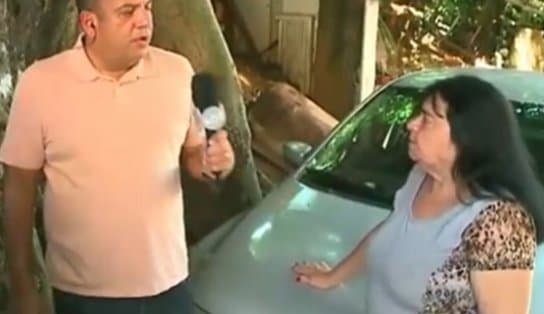 Imagem de Corta ou não corta? Árvore no Alto de Ondina gera confusão entre vizinhas; assista