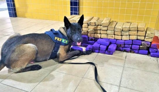 Imagem de Opera"cão" da PRF prende duas mulheres e retém 70Kg de drogas em Feira de Santana