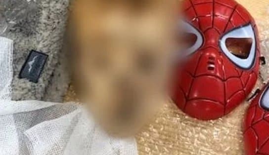 Imagem de Cabeça de criança decapitada usando máscara de homem-aranha é descoberta em pacote de correio