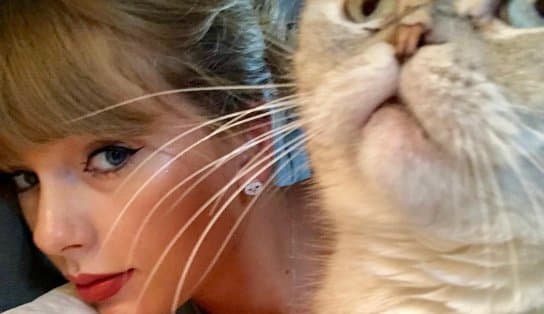 Imagem de  Com um patrimônio de R$ 529 milhões, gata de Taylor Swift é o terceiro pet mais rico mundo