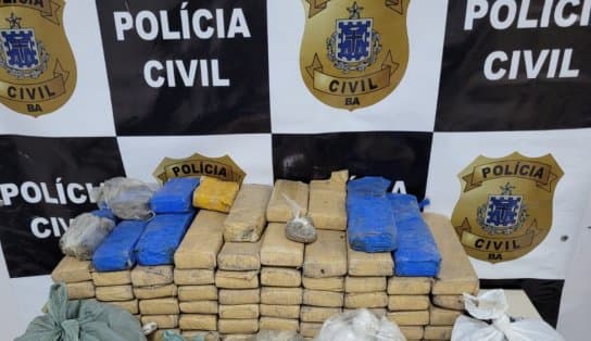 Imagem de Mais de 70 kg de maconha são desenterrados em Eunápolis, no extremo sul da Bahia