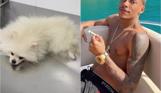 Imagem de “Zé Doguinha”: após comer maconha, cão de Mc Poze passa mal