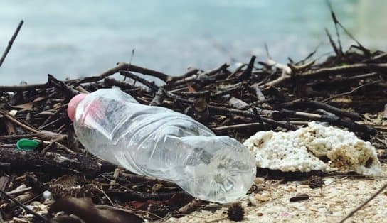 Imagem de Pesquisa mostra que 70% dos resíduos do mar brasileiro são plástico	