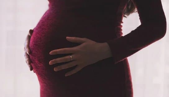 Imagem de Sancionada a lei que garante afastamento de gestante do trabalho presencial durante a pandemia