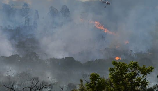 Imagem de Queimadas na Amazônia Legal sobem 49% em maio