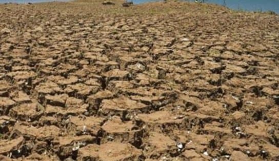 Imagem de Duas cidades baianas têm situação de emergência, por conta da seca, reconhecidas pelo Governo