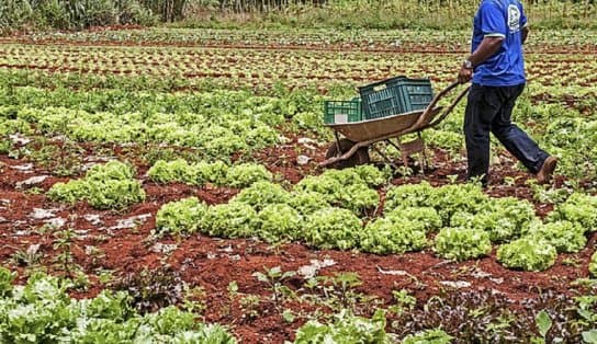 Imagem de Projeto que prevê auxílio de R$ 2,5 mil para agricultores familiares é aprovado na Câmara