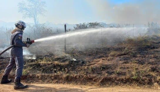 Imagem de Em apenas dois dias, bombeiros atenderam seis ocorrências de incêndios em vegetação em Bom Jesus da Lapa