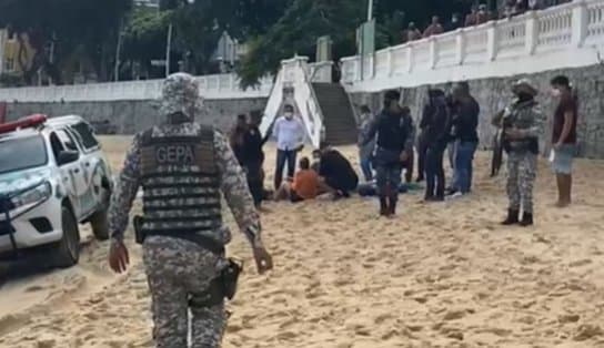 Imagem de Golfinho encalha na praia do Porto da Barra e é socorrido pela GCMS