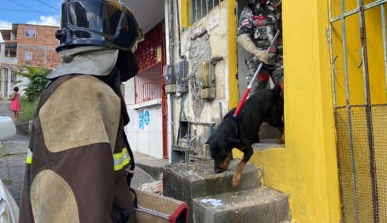 Imagem de Cachorro do 'maníaco do subúrbio' é resgatado em condições precárias em Paripe; veja vídeo