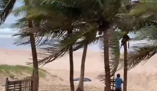 Imagem de Irmão reconhece, e corpo de surfista desaparecido é localizado na Praia do Flamengo; vítima praticava esporte há pouco tempo