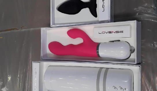 Imagem de Vibrador e cabelo humano: quanto custam os objetos mais inusitados de leilão da Receita Federal? 