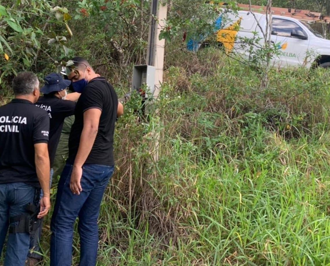 Miau! Empresário que mantinha negócio usando "gatinho da Coelba" é preso e paga R$ 30 mil para ser libertado 