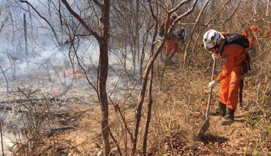 Imagem de Combate ao incêndio em Campo Alegre de Lourdes completa três semanas; chamas em Pilão Arcado são controladas 