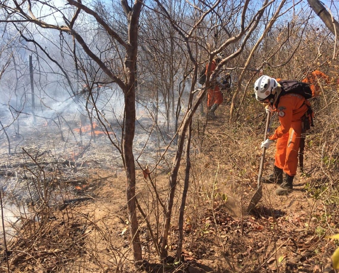 Combate ao incêndio em Campo Alegre de Lourdes completa três semanas; chamas em Pilão Arcado são controladas 