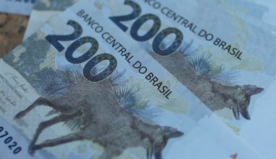 Imagem de Quem viu o lobo-guará? Cédulas de R$ 200 completam um ano em circulação; BC garante que são 80 milhões de exemplares