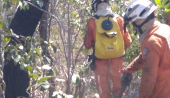 Imagem de Mais um incêndio em vegetação é registrado na Bahia; bombeiros monitoram outros oito focos