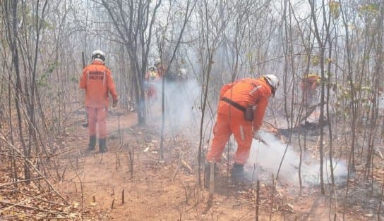 Imagem de Corpo de Bombeiros mantém plano de combate aos incêndios em diversos municípios do interior da Bahia