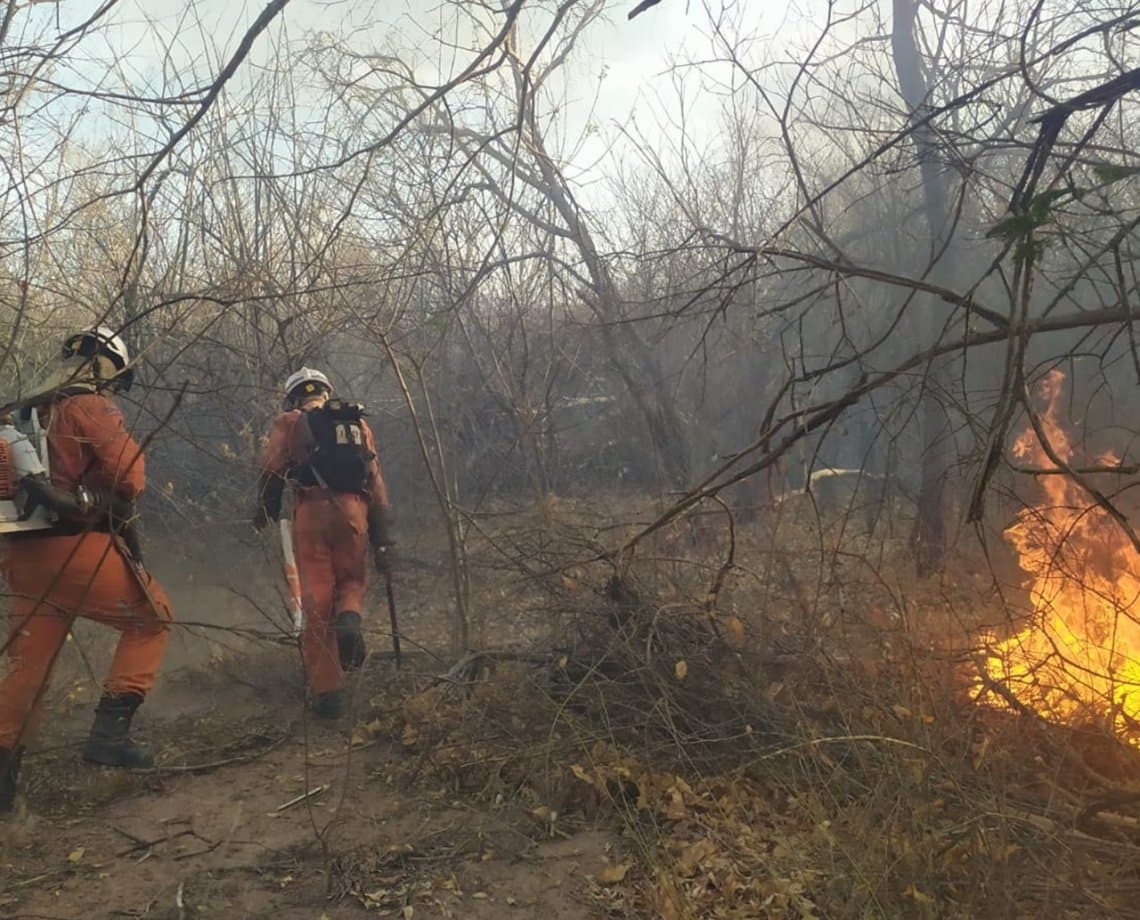 Corpo de Bombeiros faz balanço das ações de combate aos incêndios florestais na Bahia; confira 