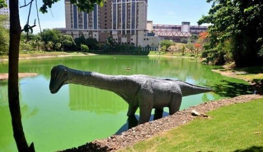 Imagem de Lazer no fim de semana! Parques de Salvador voltam a abrir aos domingos 