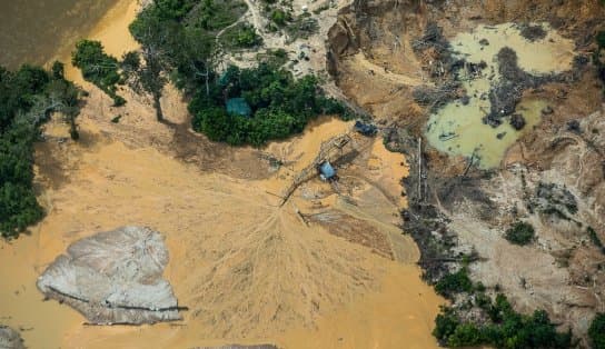 Imagem de Crianças Yanomami são 'sugadas e cuspidas' por draga de garimpeiros, dizem indígenas;  uma sobreviveu