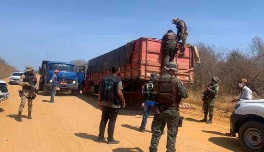 Imagem de PMs interceptam carga de madeira exótica avaliada em R$ 200 mil, no interior da Bahia 