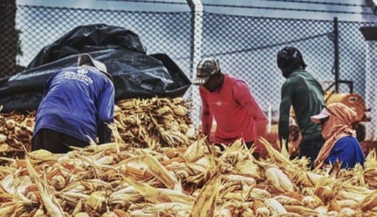 Imagem de Mais de 100 pessoas são resgatadas de escravidão em fazenda produtora de cigarro; cinco adolescentes estavam no grupo