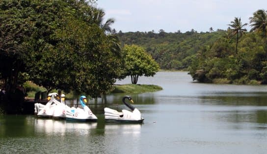 Imagem de Governo da Bahia fecha parceria com BNDES para viabilizar concessão do Parque de Pituaçu à iniciativa privada