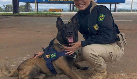 Imagem de Ex-loira do Tchan causa indignação em colegas ao receber promoção em pouco tempo de PRF