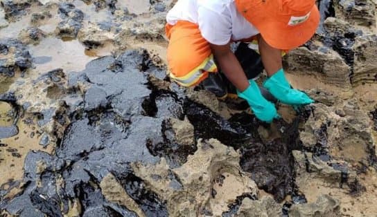 Imagem de Óleo que atingiu praias do Nordeste veio de petroleiro grego, diz Polícia Federal