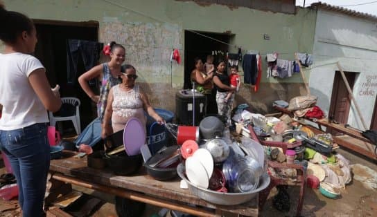 Imagem de Criança de um ano morre após ser picada por cobra no sul da Bahia