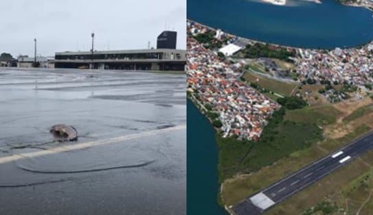 Imagem de Vídeo: Após chuvas atingirem Ilhéus, peixe bagre vai parar em aeroporto