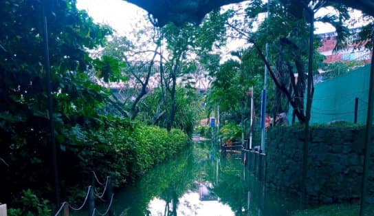 Imagem de Inundado pela intensidade da chuva que cai em Salvador, Parque Lagoa dos Dinossauros está interditado